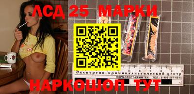 молекула духа Ефремов