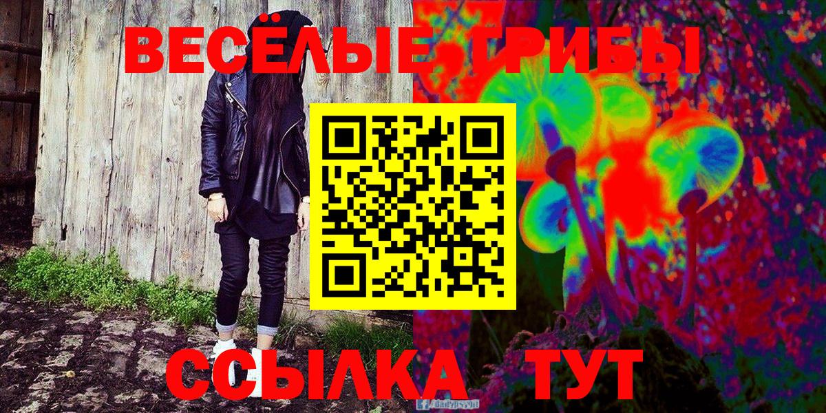 Галлюциногенные грибы Psilocybe Владивосток